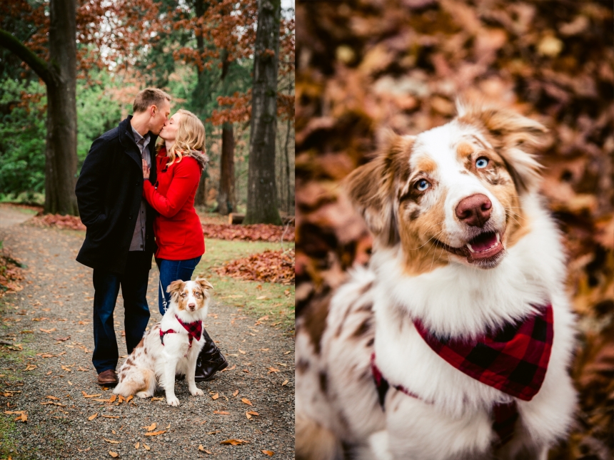 seattle family photographer