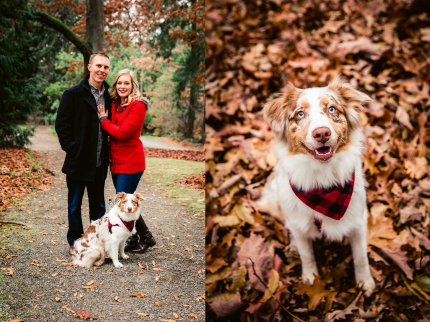 seattle family photographer