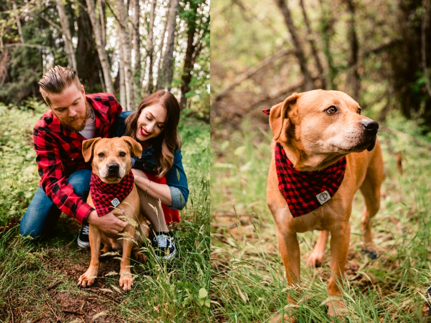 olympia family pet photographer