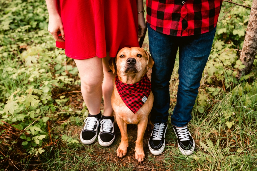 olympia family pet photographer