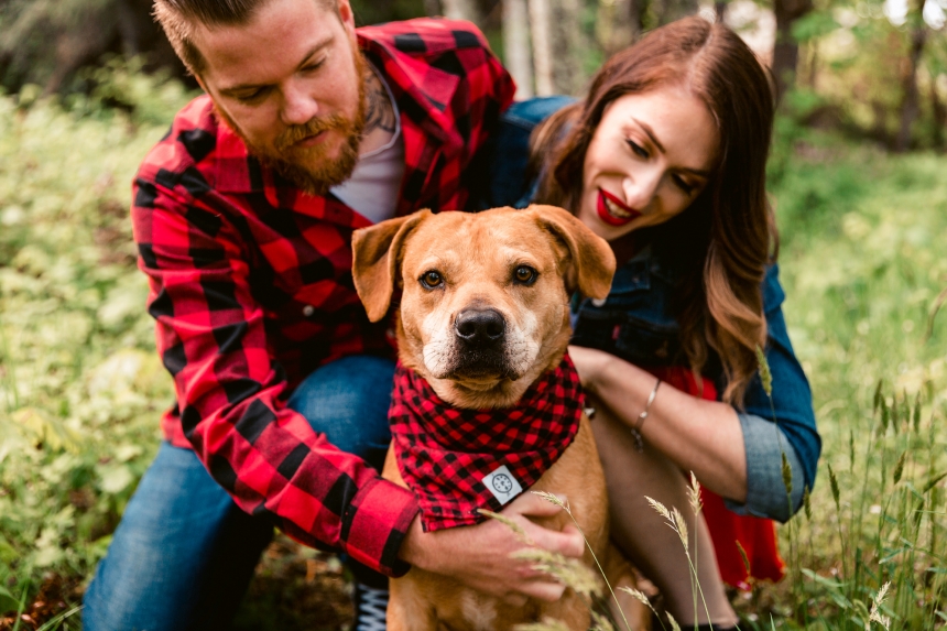 olympia family pet photographer