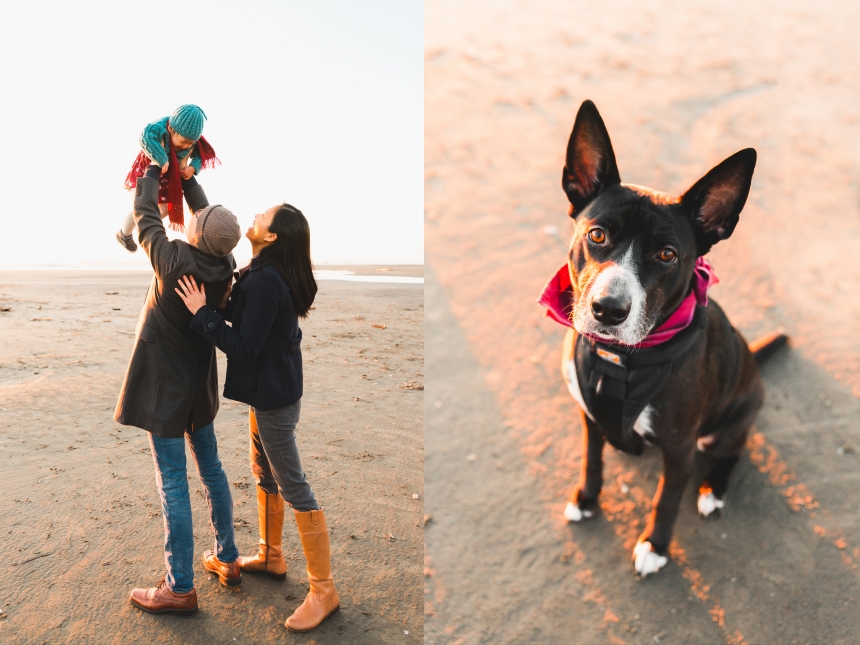 seabrook family photographer