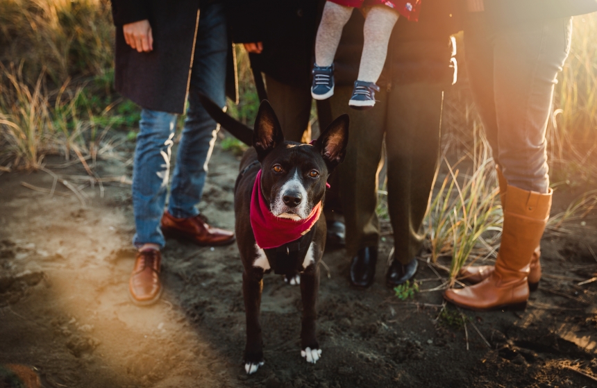 seabrook family photographer