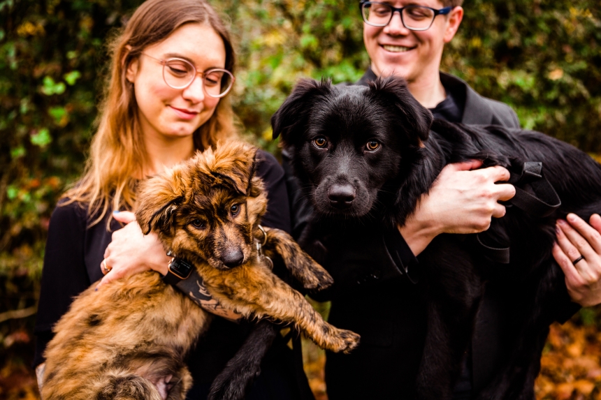 renton family photographer