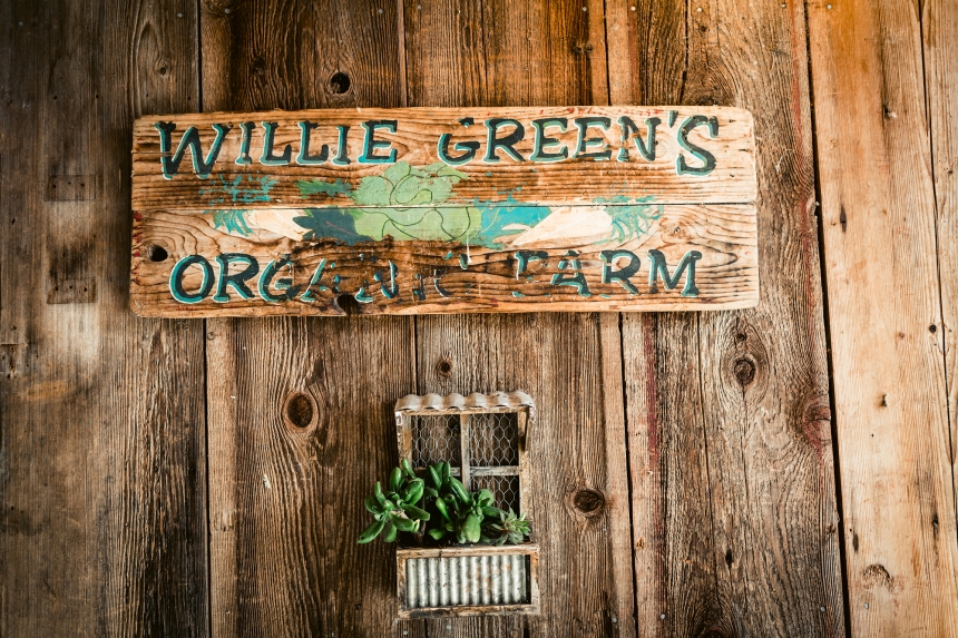 fields willie green wedding photographer